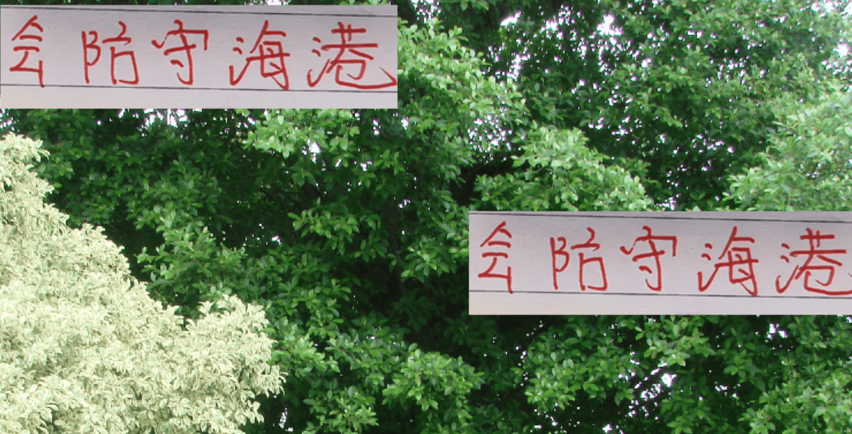 会防守, 上海海港居